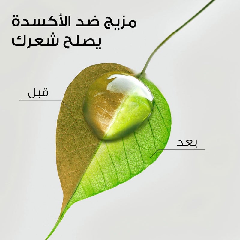 Herbal Essences Bio:Renew Hydrate Coconut Milk Conditioner 400 ml - Image 5