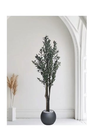 شجر زيتون مثمر مع اصيص رصاصي كبير بتصميم جذاب اجعل منزلك اكثر اناقة 185 سم - pzsku/ZB193EB46FDF6B182C16FZ/45/_/1737322549/2ca16d43-ecdf-497b-b21c-e44a25221fbb