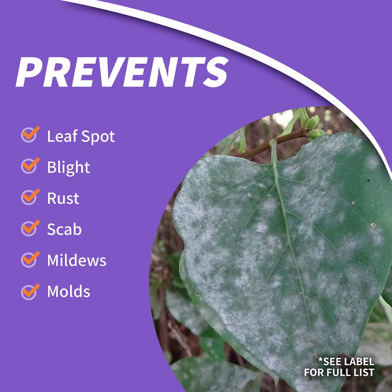 Bonide Fung-onil Multi-Purpose Fungicide, 32 oz Ready-to-Use Spray for Plant Disease Control, Controls Blight, Mildew & More - Image 3