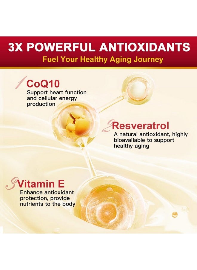 ZEBORA - ZEBORA CoQ10-200mg with Trans-Resveratrol, PQQ & Vitamin E - High Absorption Coenzyme-Q10 with BioPerine - Powerful Antioxidant for Heart & Energy-Production,120 Veggie Capsules - Image 1