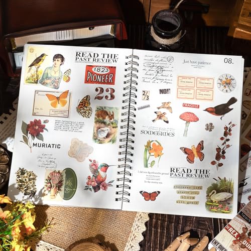 RISYPISY Pre-Cut Vintage Sticker Book for Scrapbooking - 622PCS Journaling Dark Academia Washi Stickers, Ephemera for Junk Journal Supplies 50 Sheets Orange Sticker for Journaling - Image 5