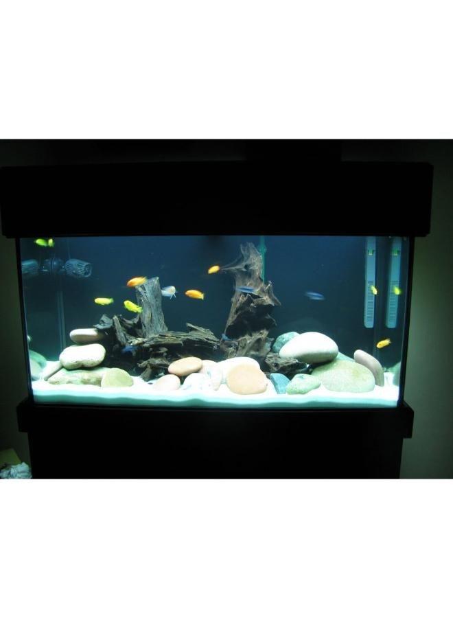 حوض سمك رملي أبيض فاخر 2 كجم - Image 2