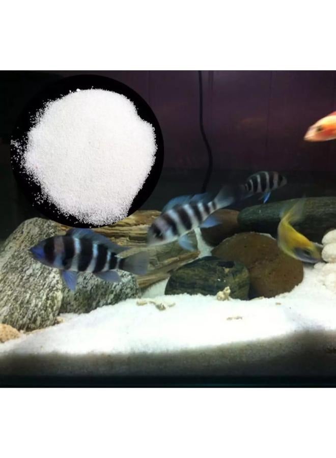 حوض سمك رملي أبيض فاخر 2 كجم - Image 5