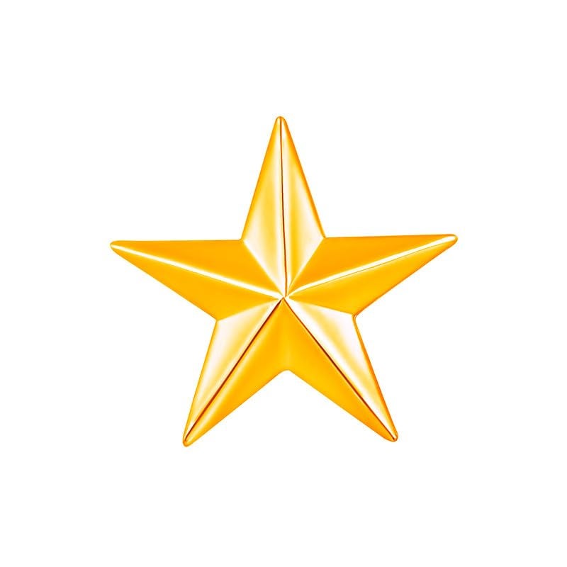 Mahi Shining Star Lapel Pin Badge for Men (PABP1101164PR) - Image 1