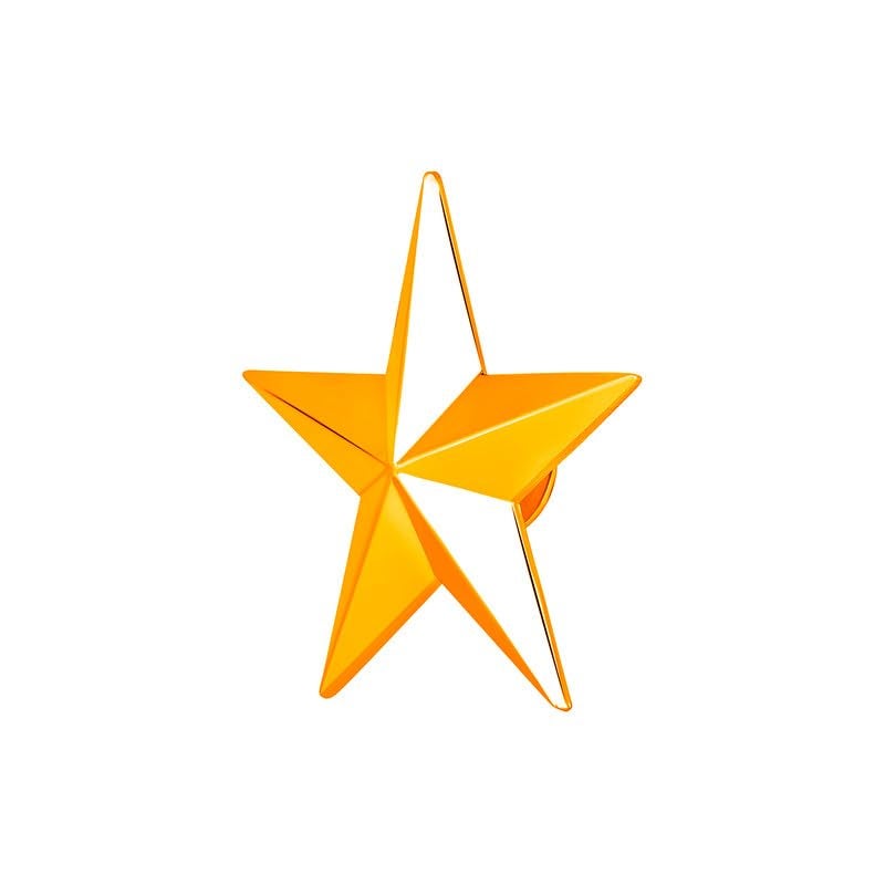 Mahi Shining Star Lapel Pin Badge for Men (PABP1101164PR) - Image 4