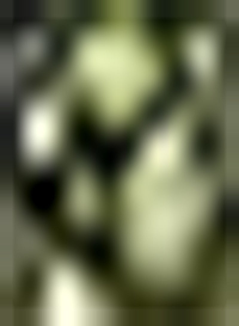 GGOOT 10Stück Avocado Samen Perfekt für Anfänger im Gärtnern - Image 3