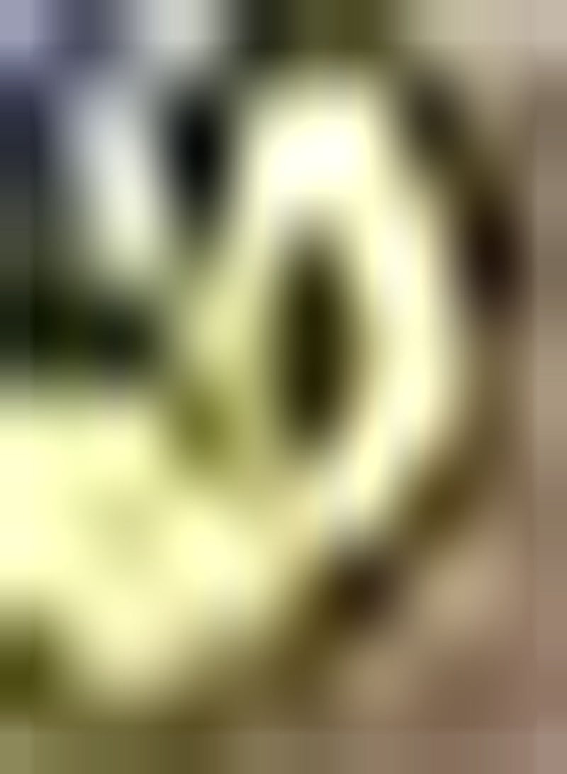 GGOOT 10Stück Avocado Samen Perfekt für Anfänger im Gärtnern - Image 2