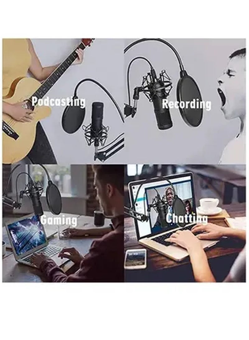 Studio Recording Professional Sound Card Microphone Set PSM-Mic05 Muticolour - Image 4