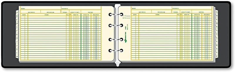 Rediform RED63453 4-Ring Ledger Outfit - Includes 100 Mini-Ledger Debit-Credit-Balance Sheets - Image 2
