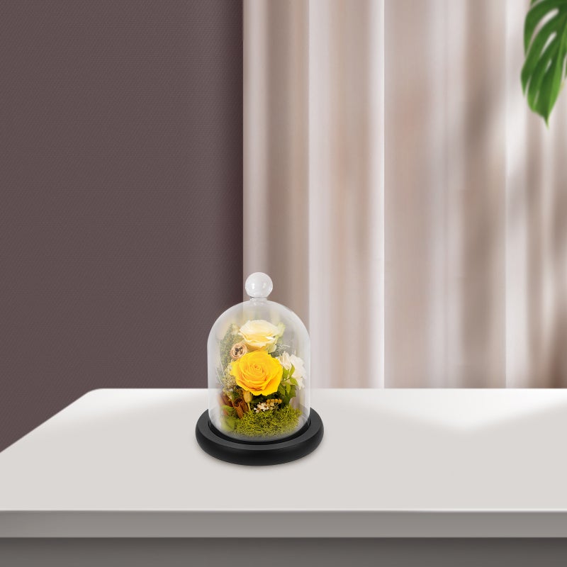 2 pcs Landscape Cake Flower Glass Cover for Decor - Image 4