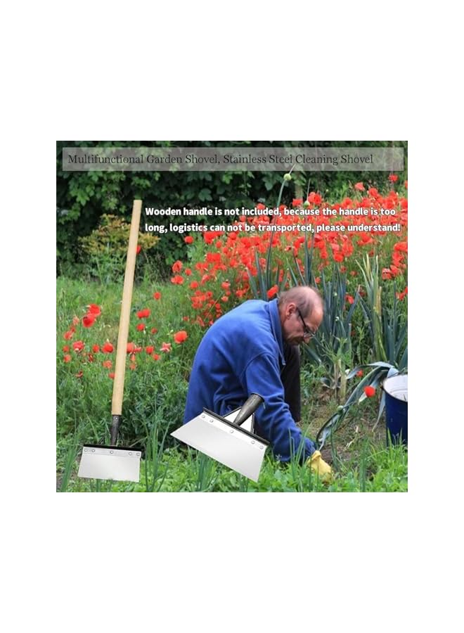 PROMASS مجرفة حديقة برومس متعددة الوظائف، مجرفة تنظيف حديقة خارجية، مجرفة حديقة متعددة الوظائف، بدون مقبض، مجرفة تنظيف من الفولاذ المقاوم للصدأ (25 سم) - Image 2