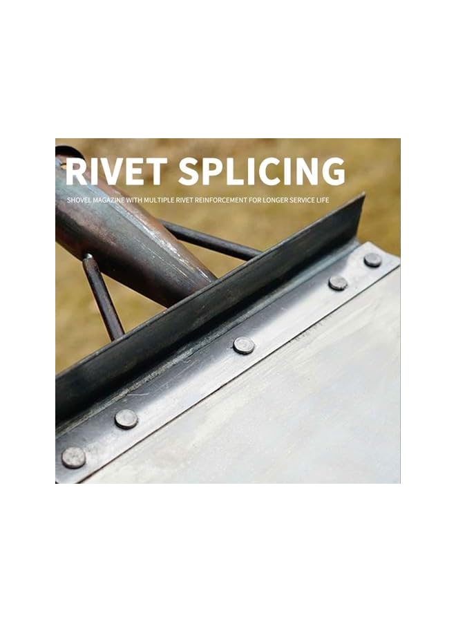 PROMASS مجرفة حديقة برومس متعددة الوظائف، مجرفة تنظيف حديقة خارجية، مجرفة حديقة متعددة الوظائف، بدون مقبض، مجرفة تنظيف من الفولاذ المقاوم للصدأ (25 سم) - Image 4