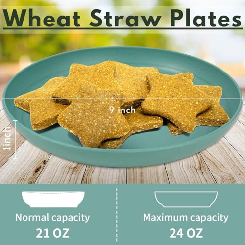 Turbid 9 Inch Wheat Straw Plate, Unbreakable Dinner Plates Set of 2, Dishwasher & Microwave Safe Plates Reusable, Lightweight Plates for Kitchen,Camping,Salad,Appetizer (Dark Green,23in/2pcs) - Image 2