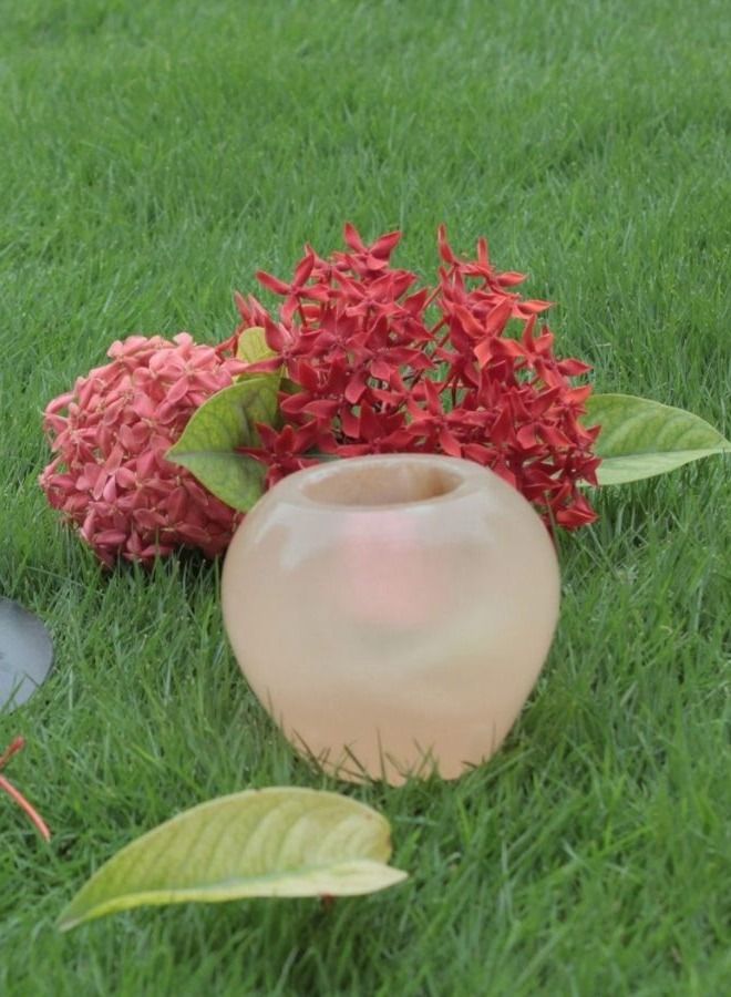 Organic Secrets Tea Light Candle Holder by Organic Secrets - Apple