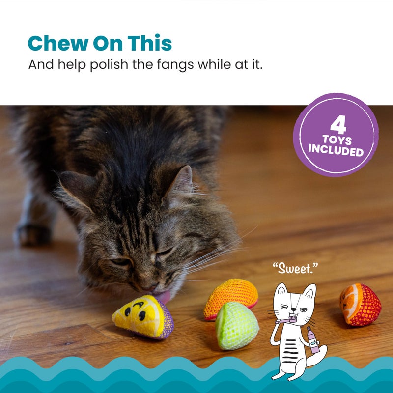 Catstages Dental Fruit Wedges 4 Pk, Soft and Textured Catnip Chew Toys That Help Clean Teeth, Multicolored - Image 2