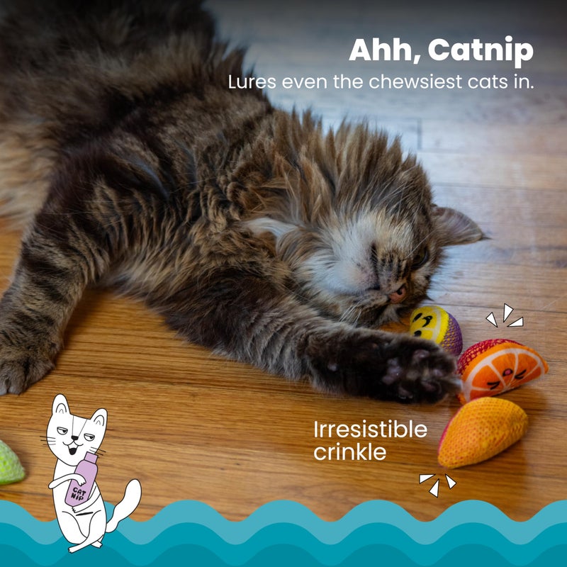 Catstages Dental Fruit Wedges 4 Pk, Soft and Textured Catnip Chew Toys That Help Clean Teeth, Multicolored - Image 3