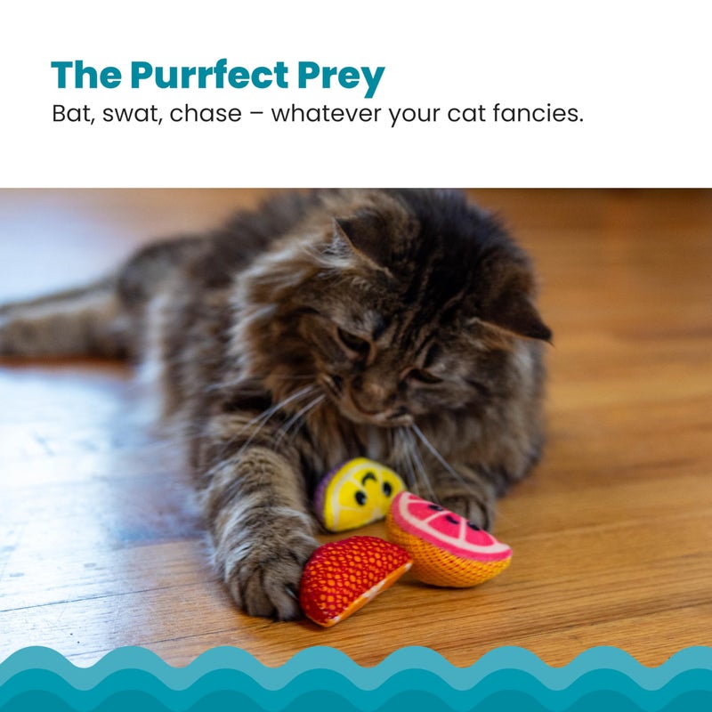 Catstages Dental Fruit Wedges 4 Pk, Soft and Textured Catnip Chew Toys That Help Clean Teeth, Multicolored - Image 4