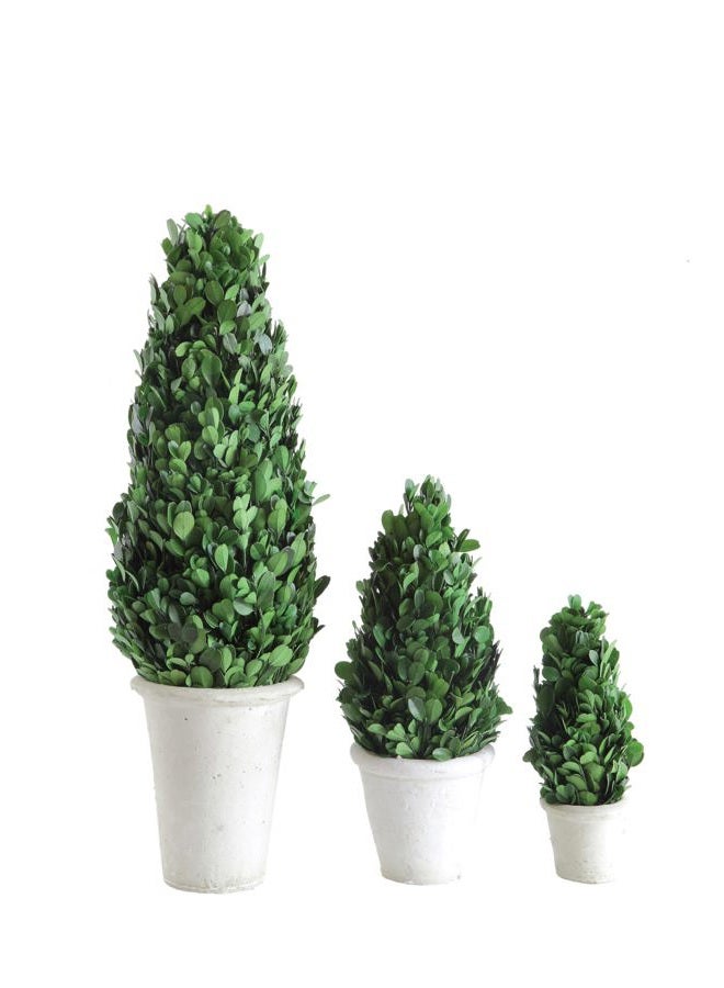 Creative Co-op Boxwood Topiary in Clay Pot, Large - Image 4