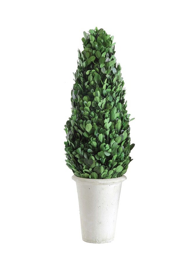 Creative Co-op Boxwood Topiary in Clay Pot, Large - Image 3