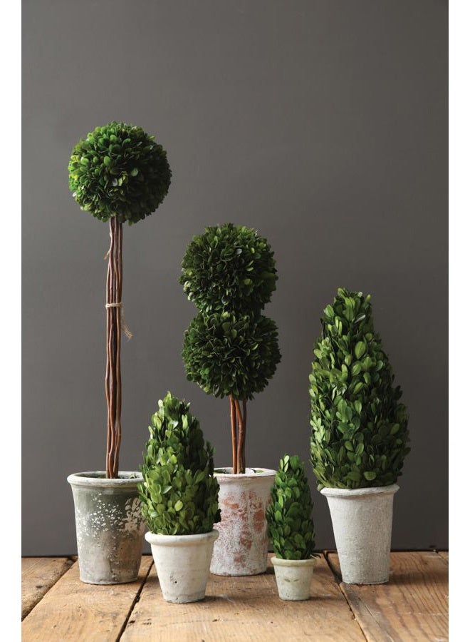 Creative Co-op Boxwood Topiary in Clay Pot, Large - Image 2