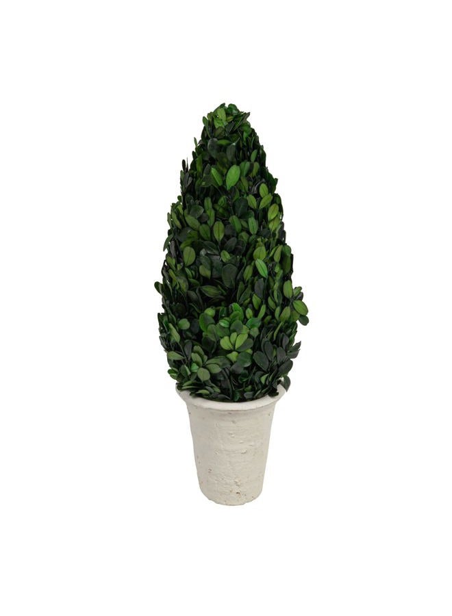Creative Co-op Boxwood Topiary in Clay Pot, Large - Image 1