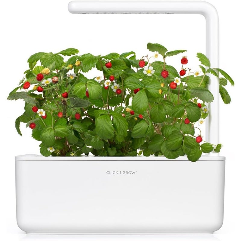 Smart Garden Wild Strawberry Plant Pods 3 PCS Pack For Indoor Hydroponic Growing Non-GMO Seeds Ready-to-Use Pods Home Office Use - Image 3