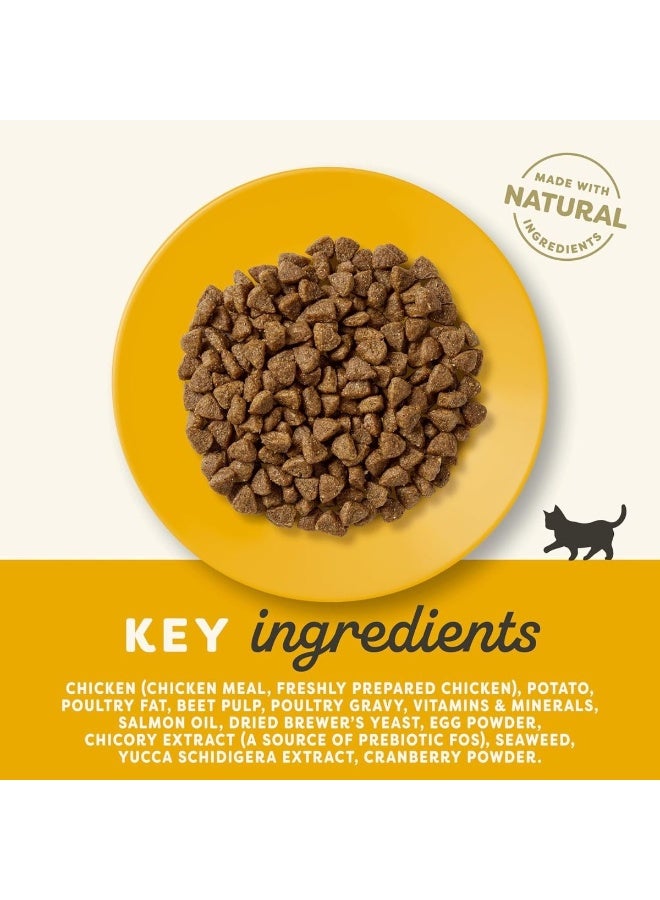 Applaws Chicken Dry Kitten Food, Grain-Free, 2 kg - Image 5