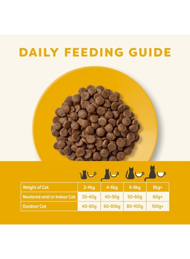 Applaws Chicken Dry Kitten Food, Grain-Free, 2 kg - Image 4