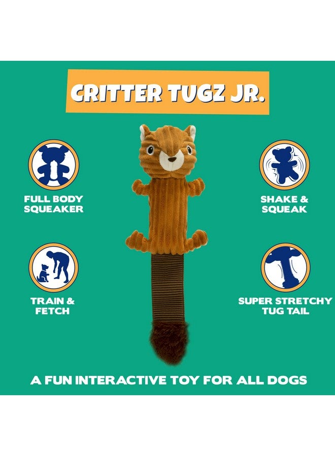 Pet Factory Shake & Squeak Critter Tugz Jr. Plush Dog Toy, Randomly Selected - Raccoon OR Squirrel, One Size - Image 5