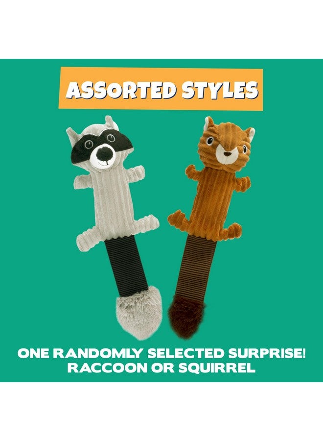 Pet Factory Shake & Squeak Critter Tugz Jr. Plush Dog Toy, Randomly Selected - Raccoon OR Squirrel, One Size - Image 3