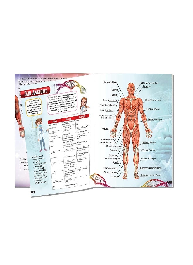null - Explore Human Body Encyclopedia - Image 1