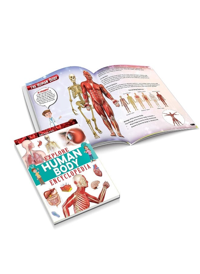 null - Explore Human Body Encyclopedia - Image 1