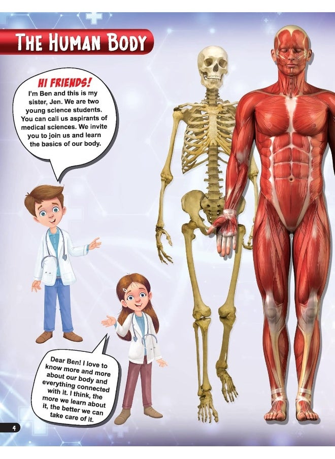 null - Explore Human Body Encyclopedia - Image 1