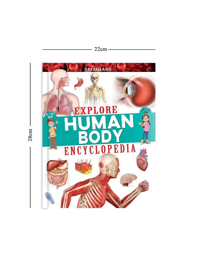 null - Explore Human Body Encyclopedia - Image 1