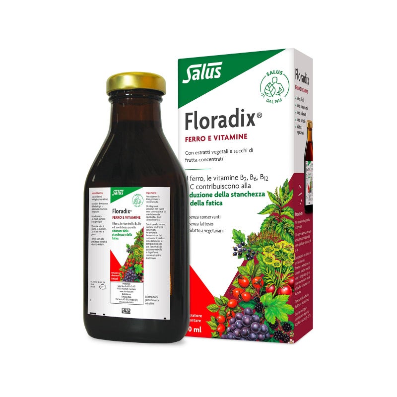 Flora Floradix Iron Herbs Natural Liquid Iron Supplement 17 fl Ounce 500 ML