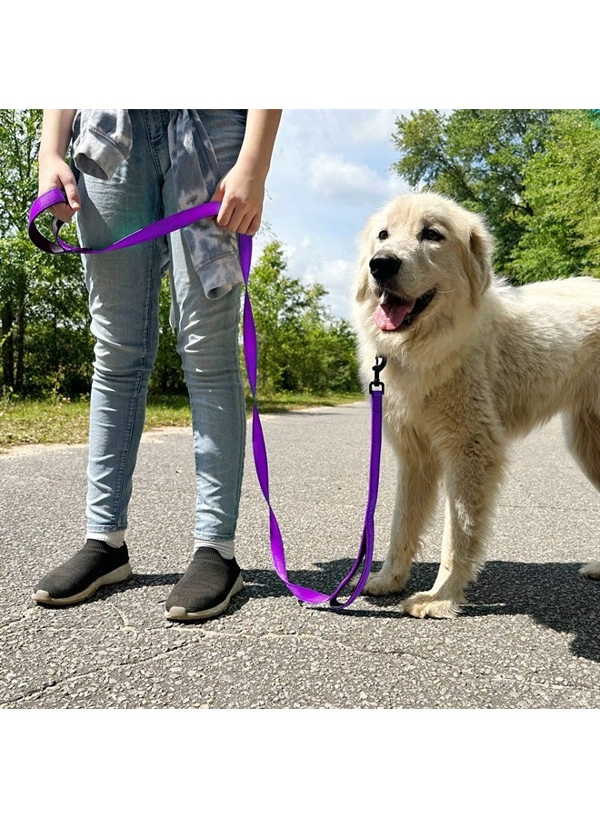 Joytale Double Handle Dog Leash, Double-Sided Reflective Dog Leashes for Night Safety, Heavy Duty Leash for Large and Extra Large and Medium Breed Dogs Outside Walking,5FT,Purple - Image 4