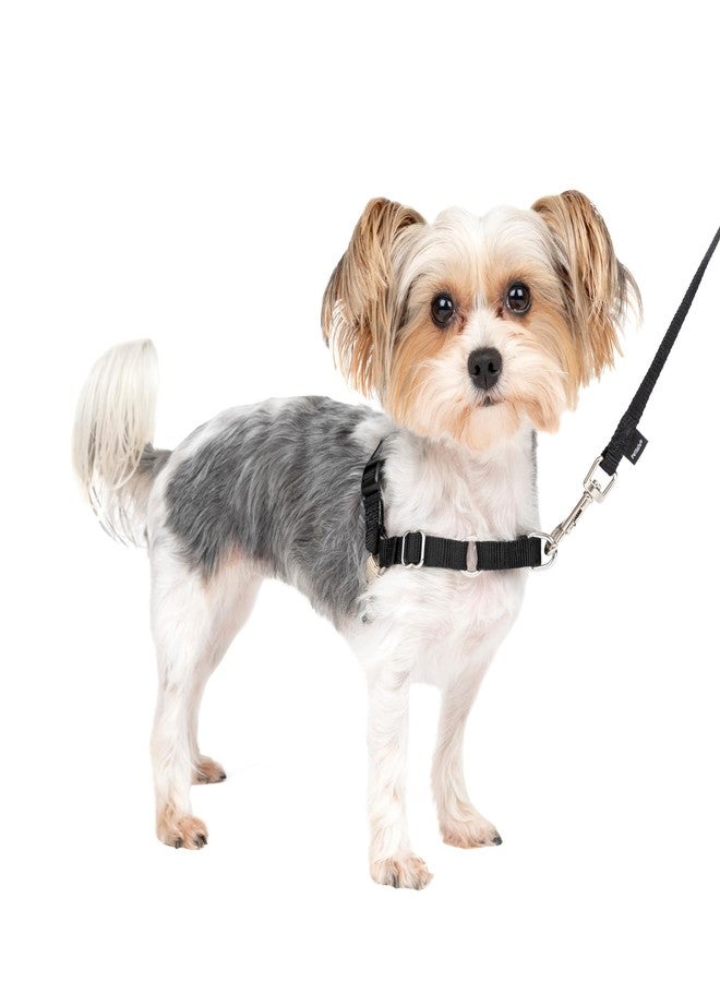 PetSafe Easy Walk No-Pull Dog Harness - The Ultimate Harness to Help Stop Pulling - Take Control & Teach Better Leash Manners - Helps Prevent Pets Pulling on Walks, Petite/Small, Black/Silver - Image 1