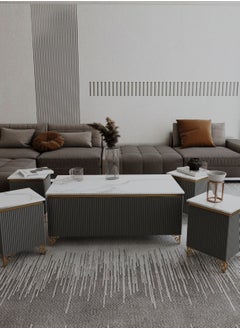 Luxury Coffee Table Set – 5 Pieces, Elegant Dark Gray Design with Gold Accents & Premium Marble Top, Main Table with a Length of 122 cm, Width of 61.5 cm, and Height of 51.5 cm, and Four Side Tables with a Length of 35 cm, Width of 35 cm, and Height of 51.5 cm. - pzsku/ZB1A42CD4C6AE6AFD62A6Z/45/_/1737284486/0e230e6c-e556-47a7-a898-24e4d03a6df0