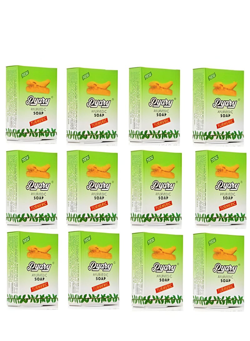 بياري صابون كركم أيورفيدي بالكركم مكونة 12 قطعة - Image 1