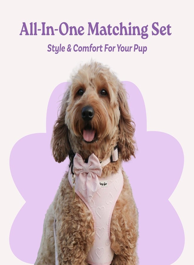 Daizzy Gear Medium Dog Harness Set - Cute No Pull, All Weather, Breathable Harness and Leash Set with Collar, Bandana, Sailor Bow & Poop Bag Holder - Adjustable, Soft & Stylish - Pink Hearts on Jacquard Fabric - Image 2