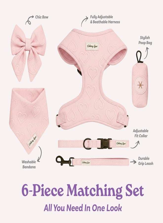 Daizzy Gear Medium Dog Harness Set - Cute No Pull, All Weather, Breathable Harness and Leash Set with Collar, Bandana, Sailor Bow & Poop Bag Holder - Adjustable, Soft & Stylish - Pink Hearts on Jacquard Fabric - Image 3