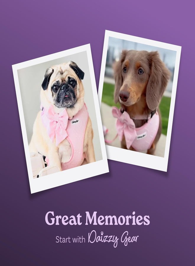 Daizzy Gear Medium Dog Harness Set - Cute No Pull, All Weather, Breathable Harness and Leash Set with Collar, Bandana, Sailor Bow & Poop Bag Holder - Adjustable, Soft & Stylish - Pink Hearts on Jacquard Fabric - Image 4