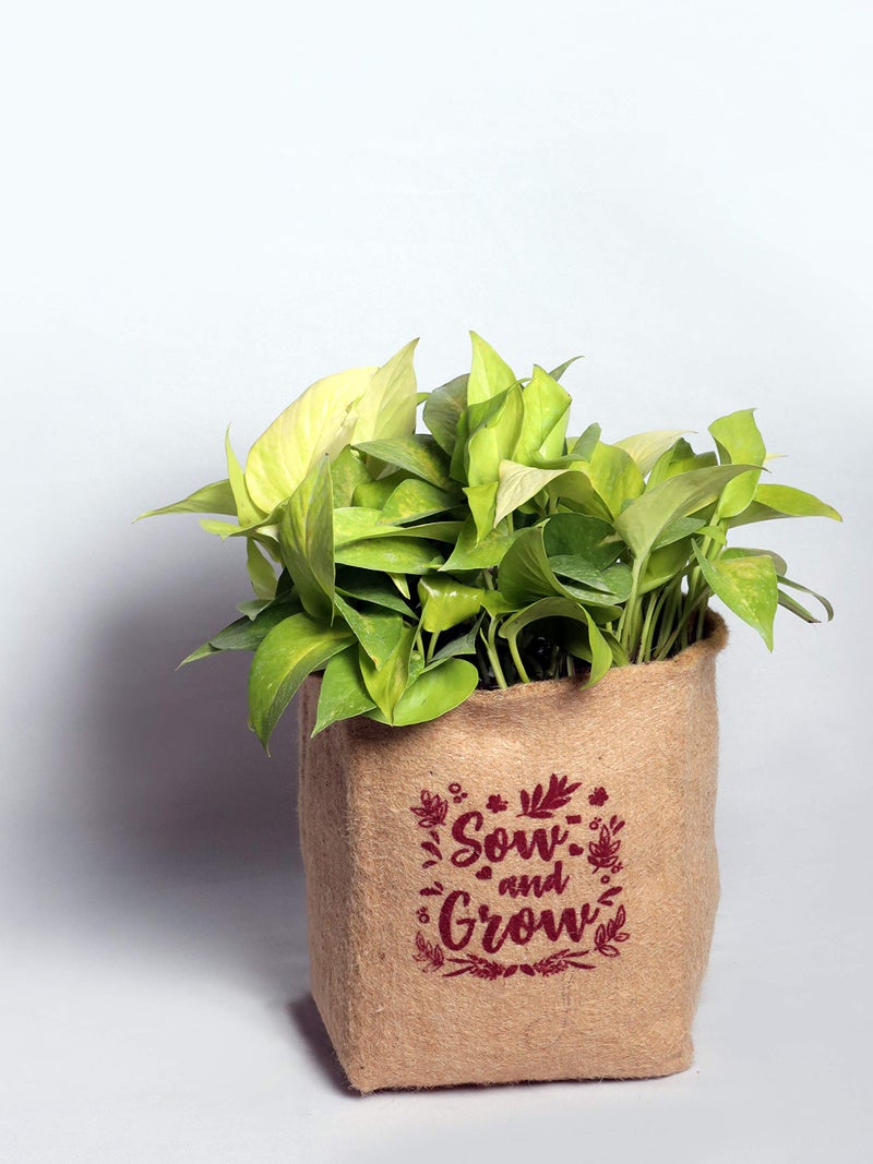 Nurturing Green® 12 Inch Eco-Friendly Jute Grow Bag (Pack of 3) - Image 2