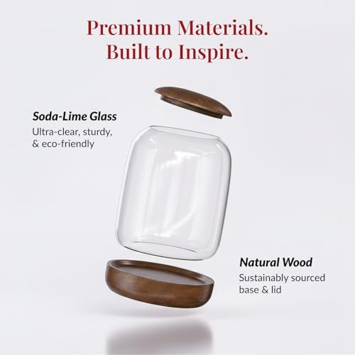 NoctisCorvus: Exclusive Glass Terrarium, Beautifully Enhanced by a Natural Wood lid and Base. Excellent for Plants and Decoration, for Home or Office: Size: 8.7" Tall (22 cm) by 6.3" Wide (16 cm) - Image 3