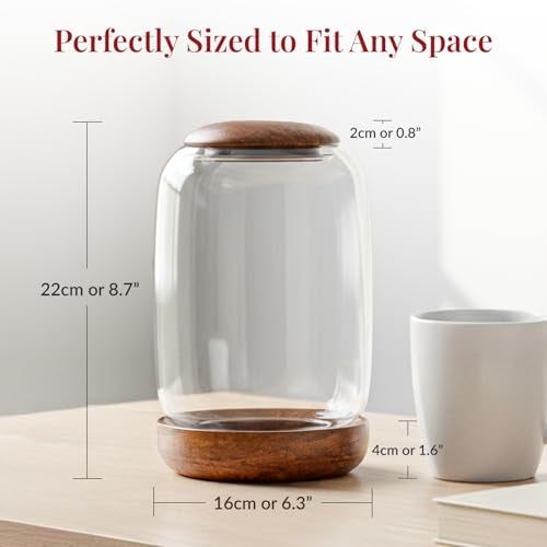 NoctisCorvus: Exclusive Glass Terrarium, Beautifully Enhanced by a Natural Wood lid and Base. Excellent for Plants and Decoration, for Home or Office: Size: 8.7" Tall (22 cm) by 6.3" Wide (16 cm) - Image 2