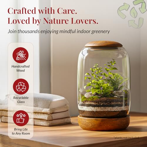 NoctisCorvus: Exclusive Glass Terrarium, Beautifully Enhanced by a Natural Wood lid and Base. Excellent for Plants and Decoration, for Home or Office: Size: 8.7" Tall (22 cm) by 6.3" Wide (16 cm) - Image 5
