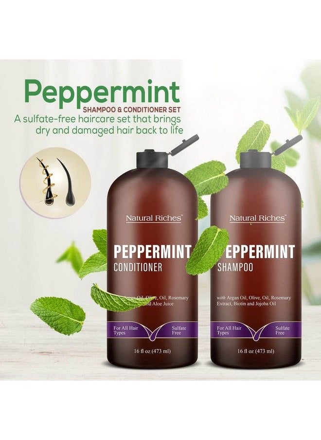 Natural Riches Peppermint Shampoo & Conditioner Set Clarifying Formula For Thinning Hair Fights Hair Loss Promotes Hair Growth Hydrating & Refreshing Sulfate Free For Men Women 16 Fl Oz Each  - Image 3