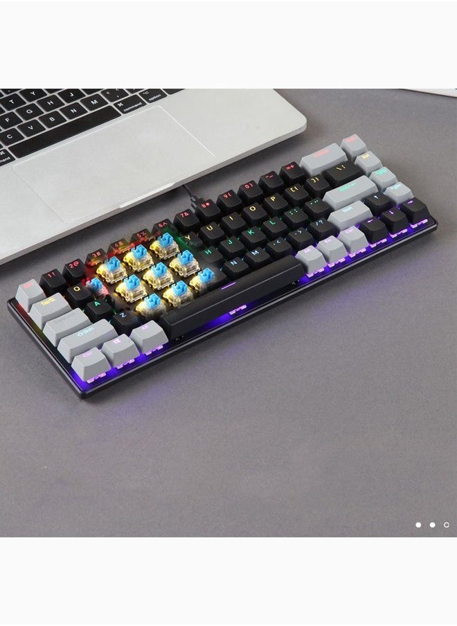 Zeemey - 68 Keys RGB Gaming Keyboard Wired Waterproof With Anti-ghosting Keyboard and Three-color Keycaps With Blue Switch for Gamers(Gray, black and red) - Image 1