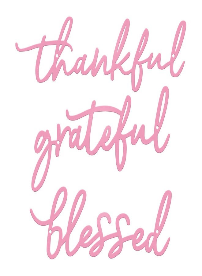 ESTART Thankful Grateful Blessed Letter Sign Metal Wall Decor, 3 Piece Pink Letters Wall Art for Bathroom Bedroom Metal Words Wall Decor for Home Decor (Pink) - Image 1