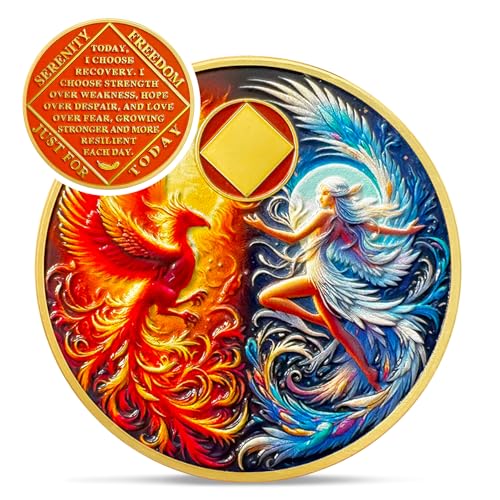 IELCJJ Phoenix Fairy 0 Year Na Medallions - Sun and Moon Sobriety Coin - One Year Recovery Addiction Token - Celebrate Clean and Sober Chip - 0-10 Prime Narcotics Anonymous Gifts for Men Women - Image 1